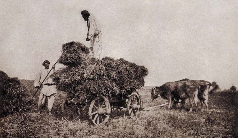 картинка к статье 16