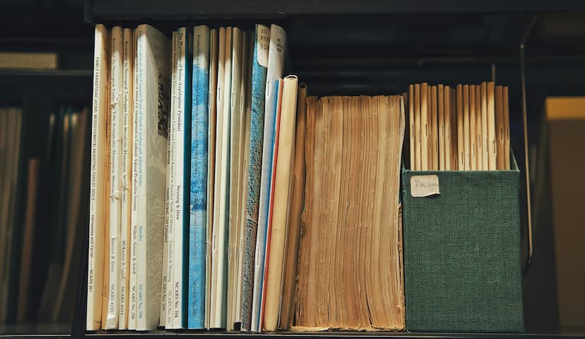 картинка к статье 13