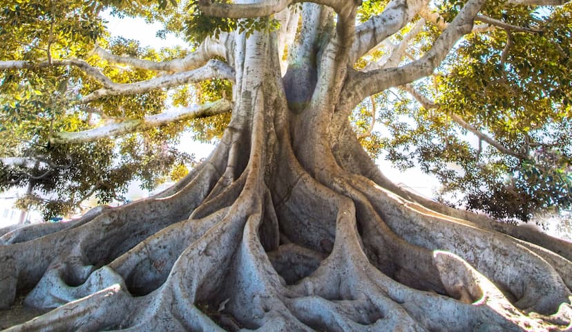 картинка к статье 6